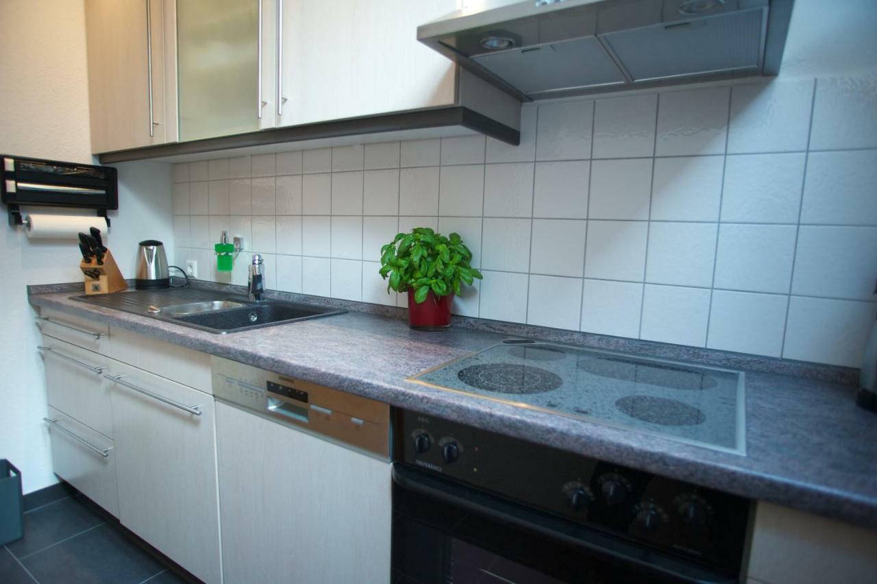 Neumann Apartment Marbach am Neckar Luaran gambar